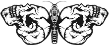 Charger l'image dans la galerie, Homme T-Shirt Tête de mort crâne skull papillon phalène (6677903671475)