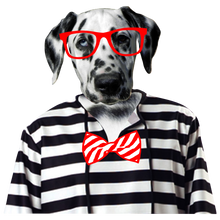 Charger l&#39;image dans la galerie, Femme T-Shirt Hipster Dalmatien chien noeud papillon chic (6629308956851)
